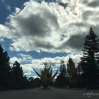 2017.11.13-009