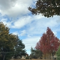 2017.11.13-011