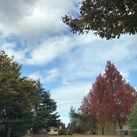 2017.11.13-014