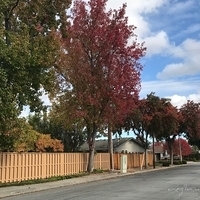 2017.11.13-016