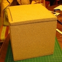 2008.11.20-007.JPG