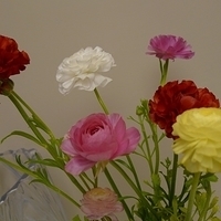 2010.04.27-001.JPG