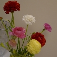 2010.04.27-002.JPG