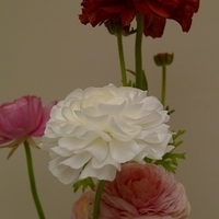 2010.04.27-003.JPG