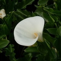 2010.03.12-006.JPG