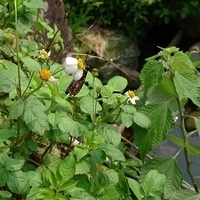 2010.03.12-007.JPG