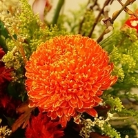 2010.02.17-001.JPG