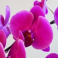 2010.02.17-005.JPG
