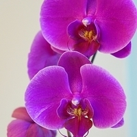2010.02.17-006.JPG
