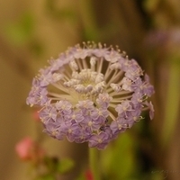 2010.03.05-001.JPG