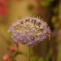 2010.03.05-002.JPG