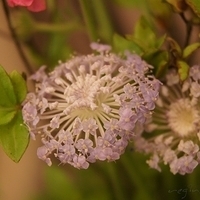 2010.03.05-003.JPG