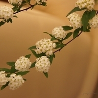2010.03.05-004.JPG