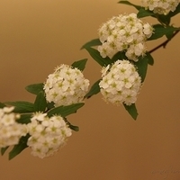2010.03.05-005.JPG