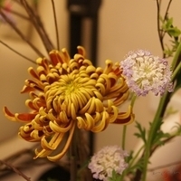 2010.03.05-006.JPG