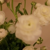 2010.03.05-008.JPG
