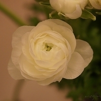 2010.03.05-010.JPG
