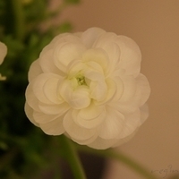2010.03.05-011.JPG