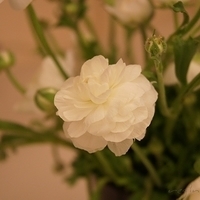 2010.03.05-012.JPG