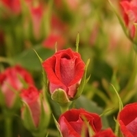 2010.03.05-013.JPG