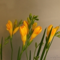 2010.03.05-017.JPG