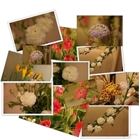 2010.03.05-018.jpg