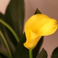 2010.03.13-001.JPG