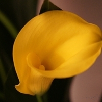 2010.03.13-002.JPG