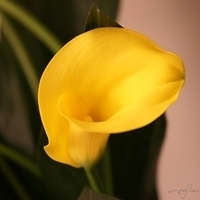 2010.03.13-004.JPG