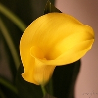 2010.03.13-005.JPG