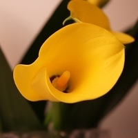 2010.03.13-006.JPG