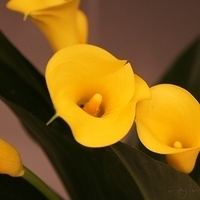 2010.03.13-007.JPG