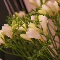 2010.03.13-008.JPG