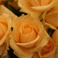 2010.03.13-009.JPG