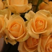 2010.03.13-010.JPG