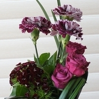 Flower 05-12-2012