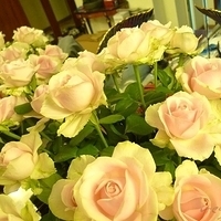 2009.05.17-002.JPG