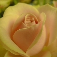 2009.05.17-003.JPG