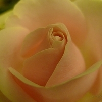 2009.05.17-004.JPG
