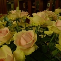 2009.05.17-007.JPG