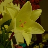 2009.05.17-008.JPG