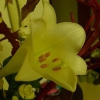 2009.05.17-009.JPG