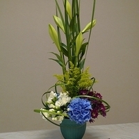 2010.01.15-001.JPG