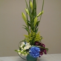 2010.01.15-002.JPG