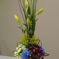 2010.01.15-003.JPG
