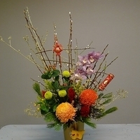 2010.02.11-001.JPG