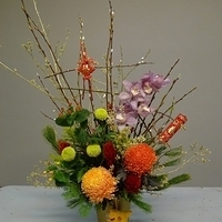 2010.02.11-002.JPG
