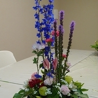 2010.02.26-001.JPG