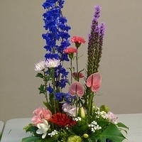2010.02.26-002.JPG