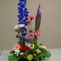2010.02.26-003.JPG